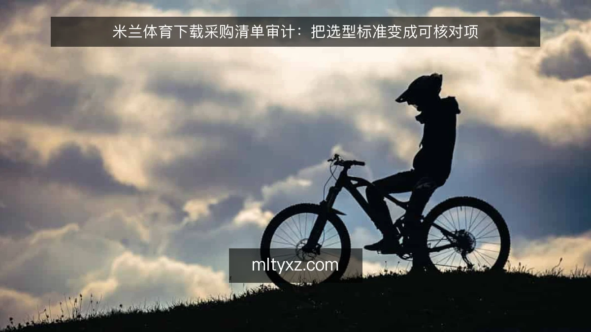 米兰体育下载采购清单审计：把选型标准变成可核对项