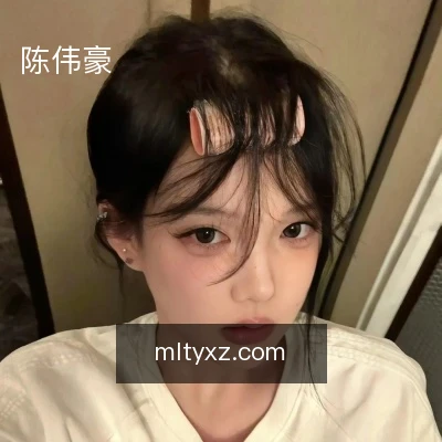 陈伟豪